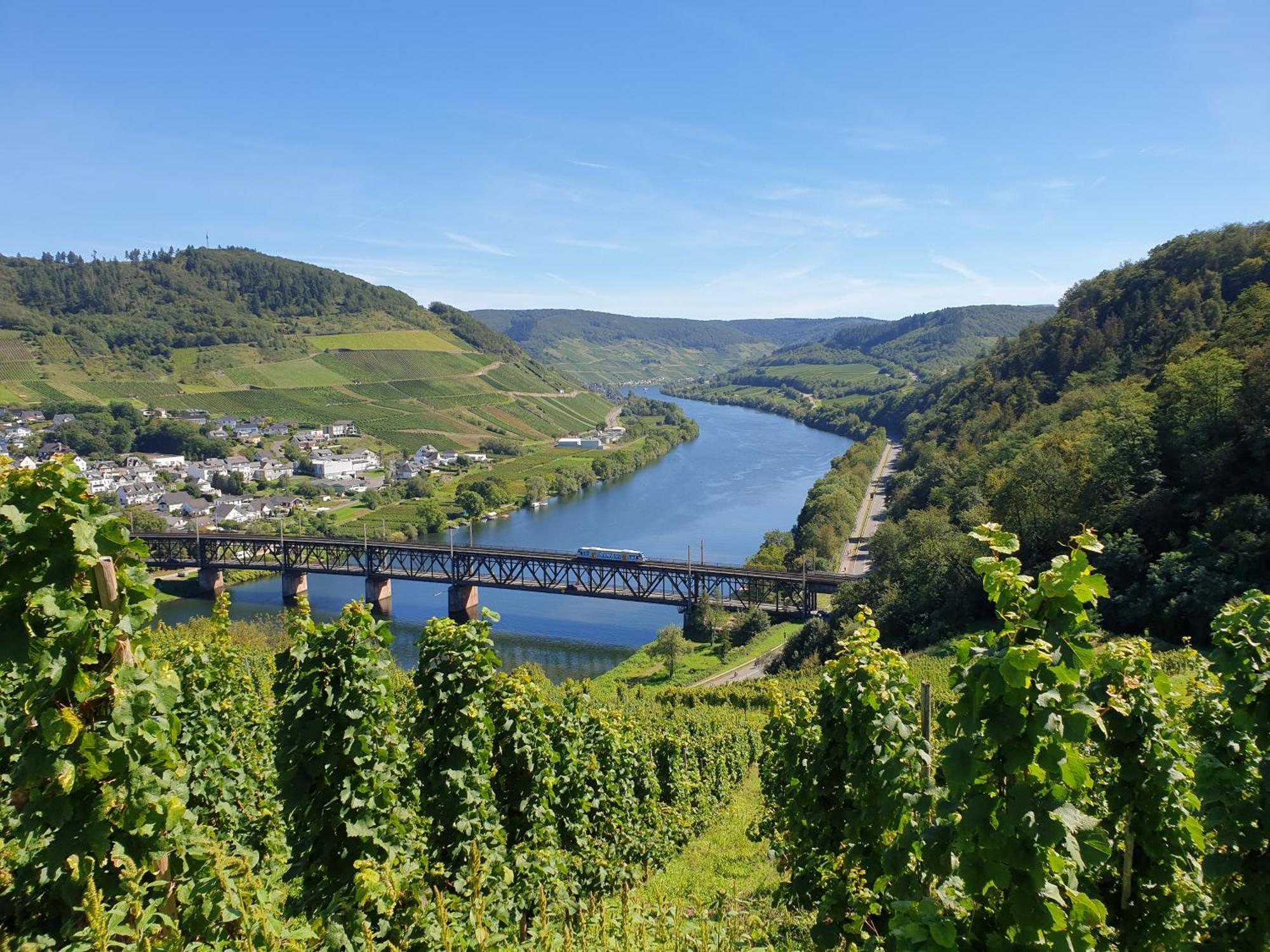 Ferienwohnungen Bullay Esterno foto